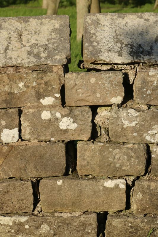 Stone Wall Repair in Rancho Santa Fe, CA